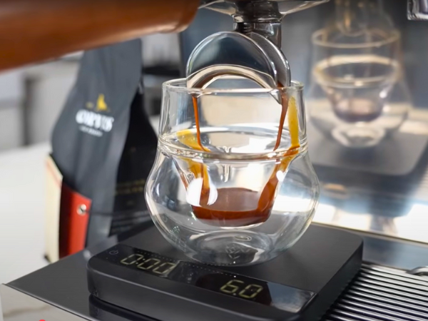 Ascaso Steel DUO PLUS Espresso Machine - Brewing & Steaming System
