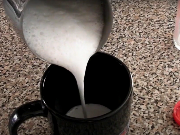 Capresso Ultima Pro - Milk Frother