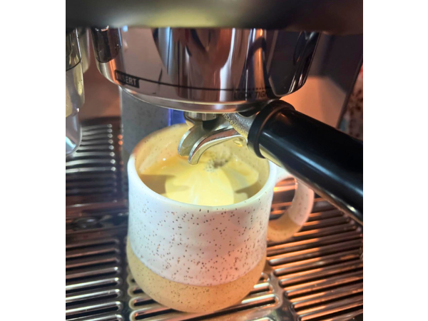 Precision Extraction - Breville Oracle Touch Espresso Machine